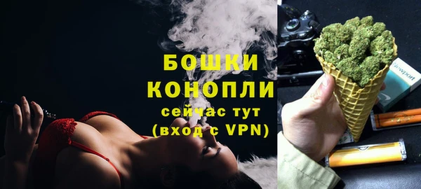 прущие крисы Ельня