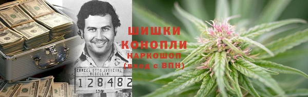 прущие крисы Ельня