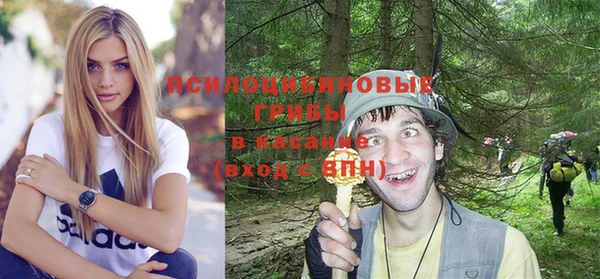 прущие крисы Ельня