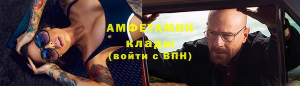 прущие крисы Ельня