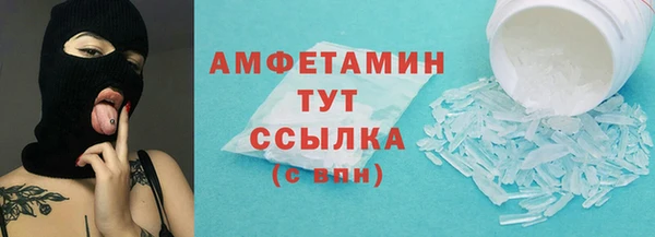 прущие крисы Ельня