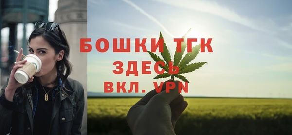 прущие крисы Ельня