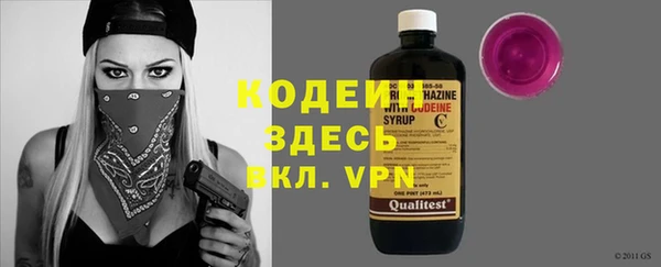прущие крисы Ельня