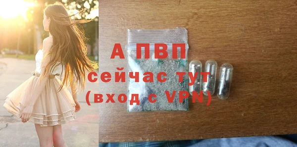 прущие крисы Ельня