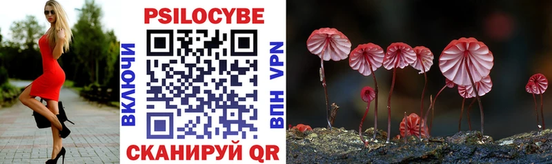Купить где  Завитинск  Псилоцибиновые грибы прущие грибы 