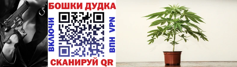 Каннабис планчик  Купить где  Завитинск 